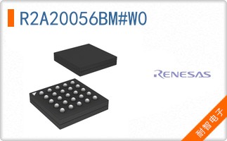 R2A20056BM#W0