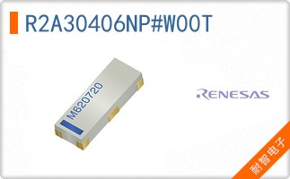 R2A30406NP#W00T