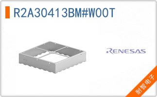 R2A30413BM#W00T