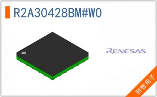 R2A30428BM#W0