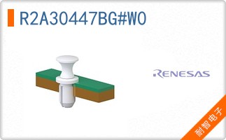 R2A30447BG#W0