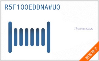 R5F100EDDNA#U0