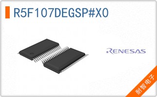 R5F107DEGSP#X0