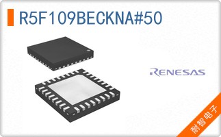 R5F109BECKNA#50