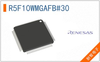 R5F10WMGAFB#30