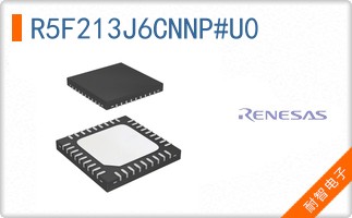 R5F213J6CNNP#U0