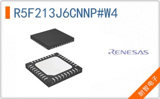 R5F213J6CNNP#W4