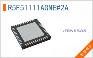 R5F51111AGNE#2A