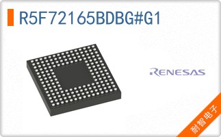 R5F72165BDBG#G1