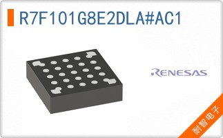 R7F101G8E2DLA#AC1