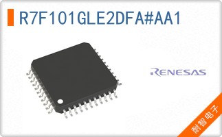 R7F101GLE2DFA#AA1