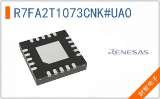 R7FA2T1073CNK#UA0