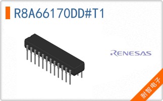 R8A66170DD#T1