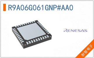 R9A06G061GNP#AA0