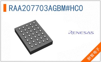 RAA207703AGBM#HC0