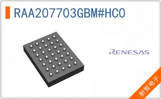 RAA207703GBM#HC0