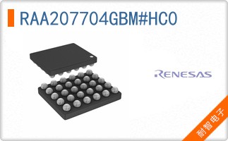 RAA207704GBM#HC0