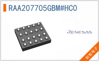 RAA207705GBM#HC0