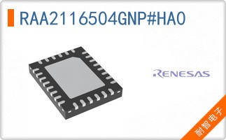 RAA2116504GNP#HA0