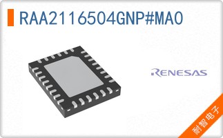 RAA2116504GNP#MA0