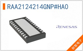 RAA2124214GNP#HA0