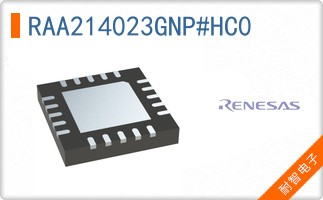 RAA214023GNP#HC0
