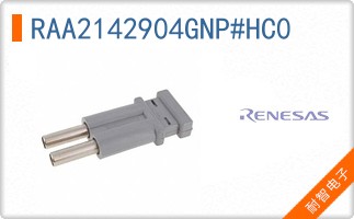 RAA2142904GNP#HC0
