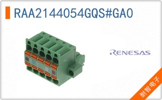 RAA2144054GQS#GA0