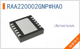 RAA220002GNP#HA0