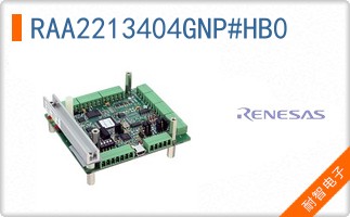 RAA2213404GNP#HB0