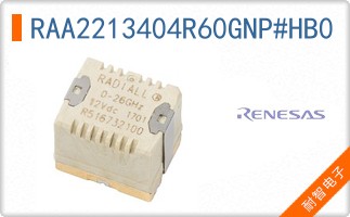 RAA2213404R60GNP#HB0