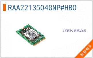 RAA2213504GNP#HB0