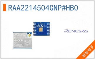 RAA2214504GNP#HB0