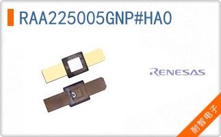 RAA225005GNP#HA0