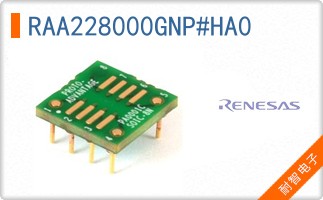 RAA228000GNP#HA0