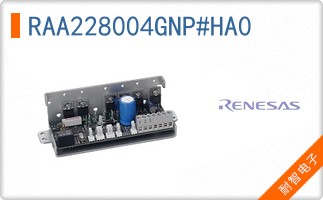 RAA228004GNP#HA0