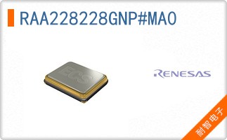 RAA228228GNP#MA0
