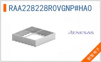 RAA228228R0VGNP#HA0