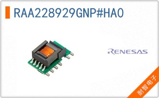 RAA228929GNP#HA0