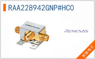RAA228942GNP#HC0