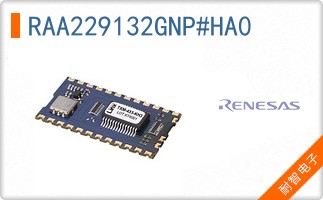 RAA229132GNP#HA0