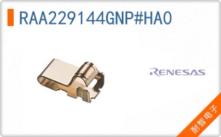 RAA229144GNP#HA0
