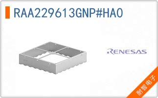 RAA229613GNP#HA0