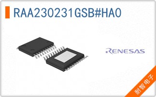 RAA230231GSB#HA0
