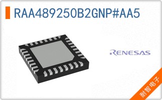 RAA489250B2GNP#AA5