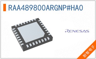 RAA489800ARGNP#HA0
