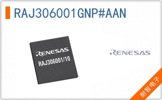 RAJ306001GNP#AAN