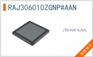 RAJ306010ZGNP#AAN