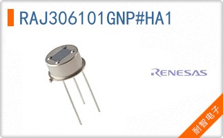RAJ306101GNP#HA1