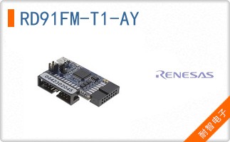 RD91FM-T1-AY